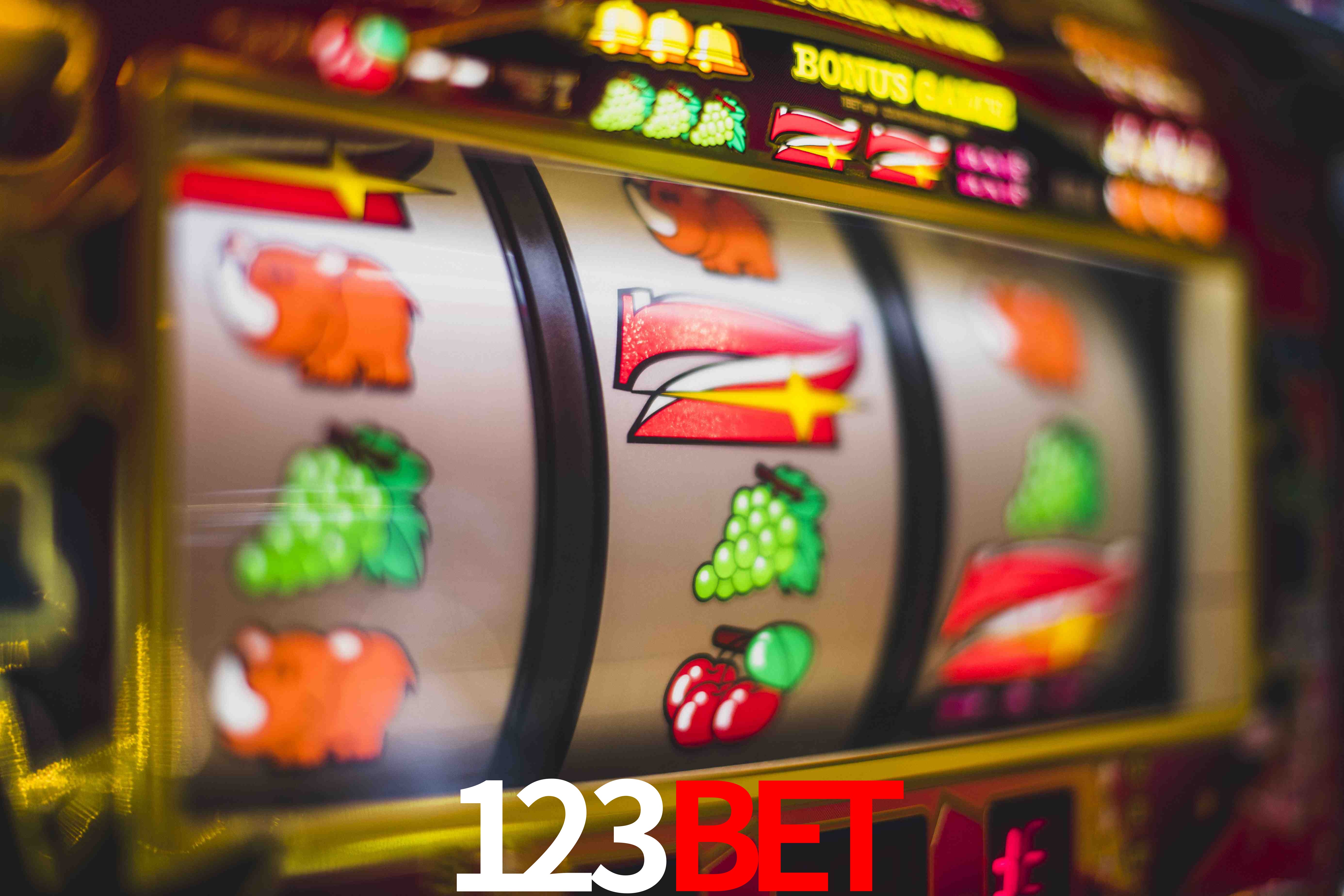 Live Casino 123bet